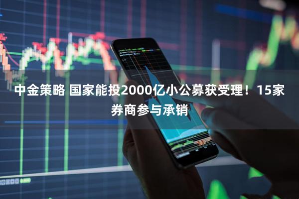 中金策略 国家能投2000亿小公募获受理！15家券商参与承销